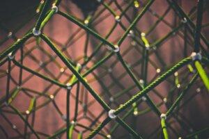 What is the WAN Network: A Net which Shows A Network.